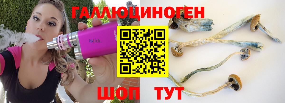 Галлюциногенные грибы Psilocybine cubensis Ханты-Мансийск